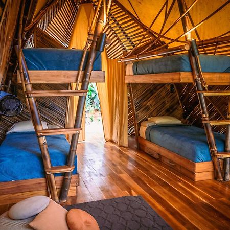 Jungle Gayborhood Hotel And Retreat Center San Luis  外观 照片
