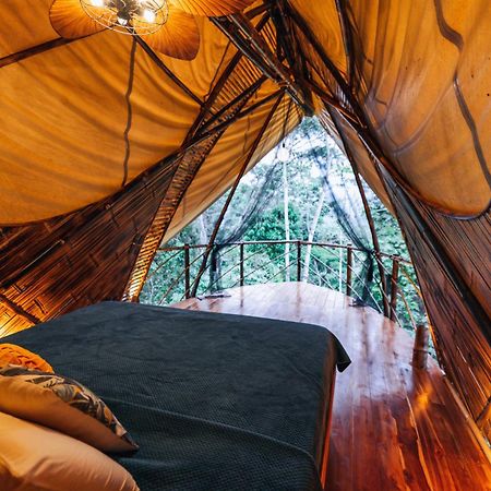 Jungle Gayborhood Hotel And Retreat Center San Luis  外观 照片