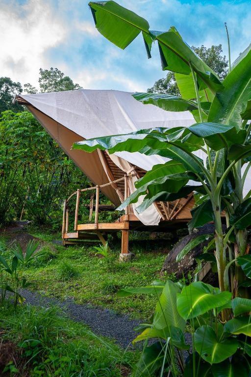 Jungle Gayborhood Hotel And Retreat Center San Luis  外观 照片