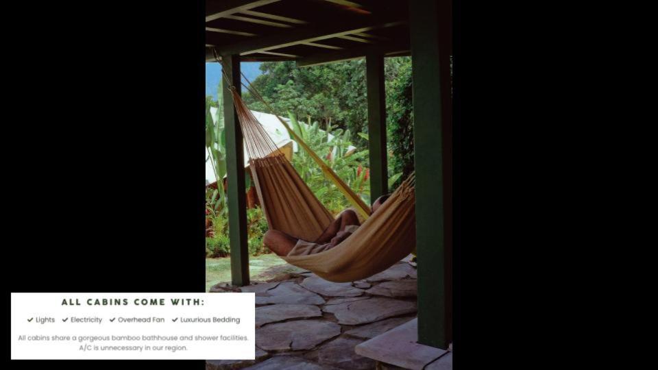 Jungle Gayborhood Hotel And Retreat Center San Luis  外观 照片