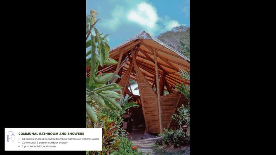 Jungle Gayborhood Hotel And Retreat Center San Luis  外观 照片