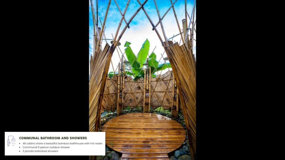 Jungle Gayborhood Hotel And Retreat Center San Luis  外观 照片