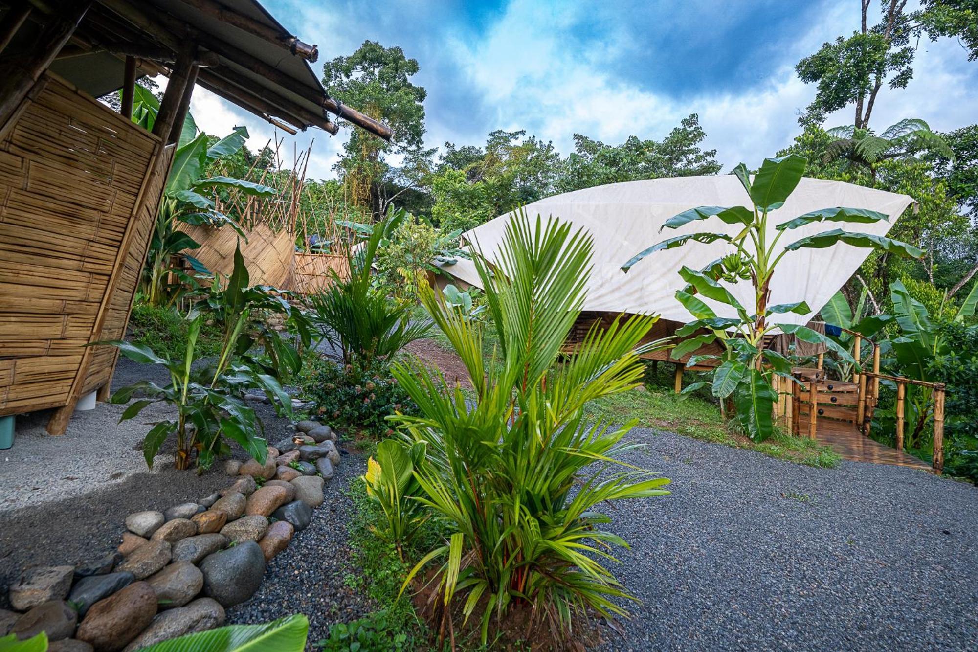 Jungle Gayborhood Hotel And Retreat Center San Luis  外观 照片