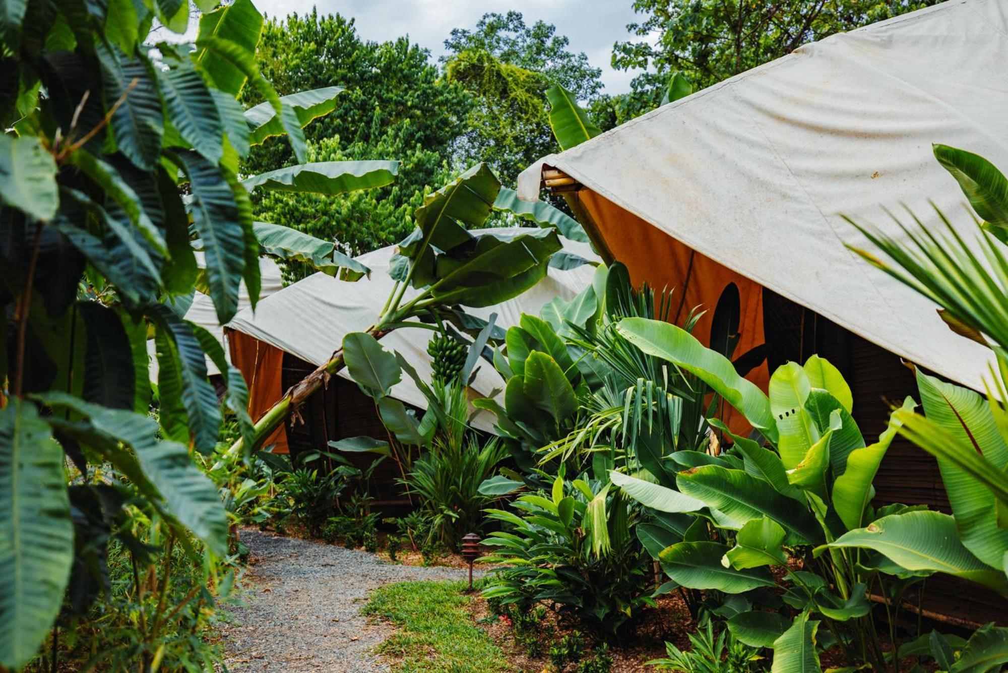 Jungle Gayborhood Hotel And Retreat Center San Luis  外观 照片