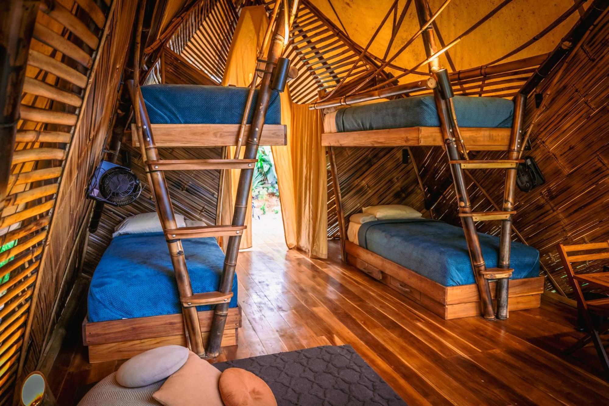Jungle Gayborhood Hotel And Retreat Center San Luis  外观 照片