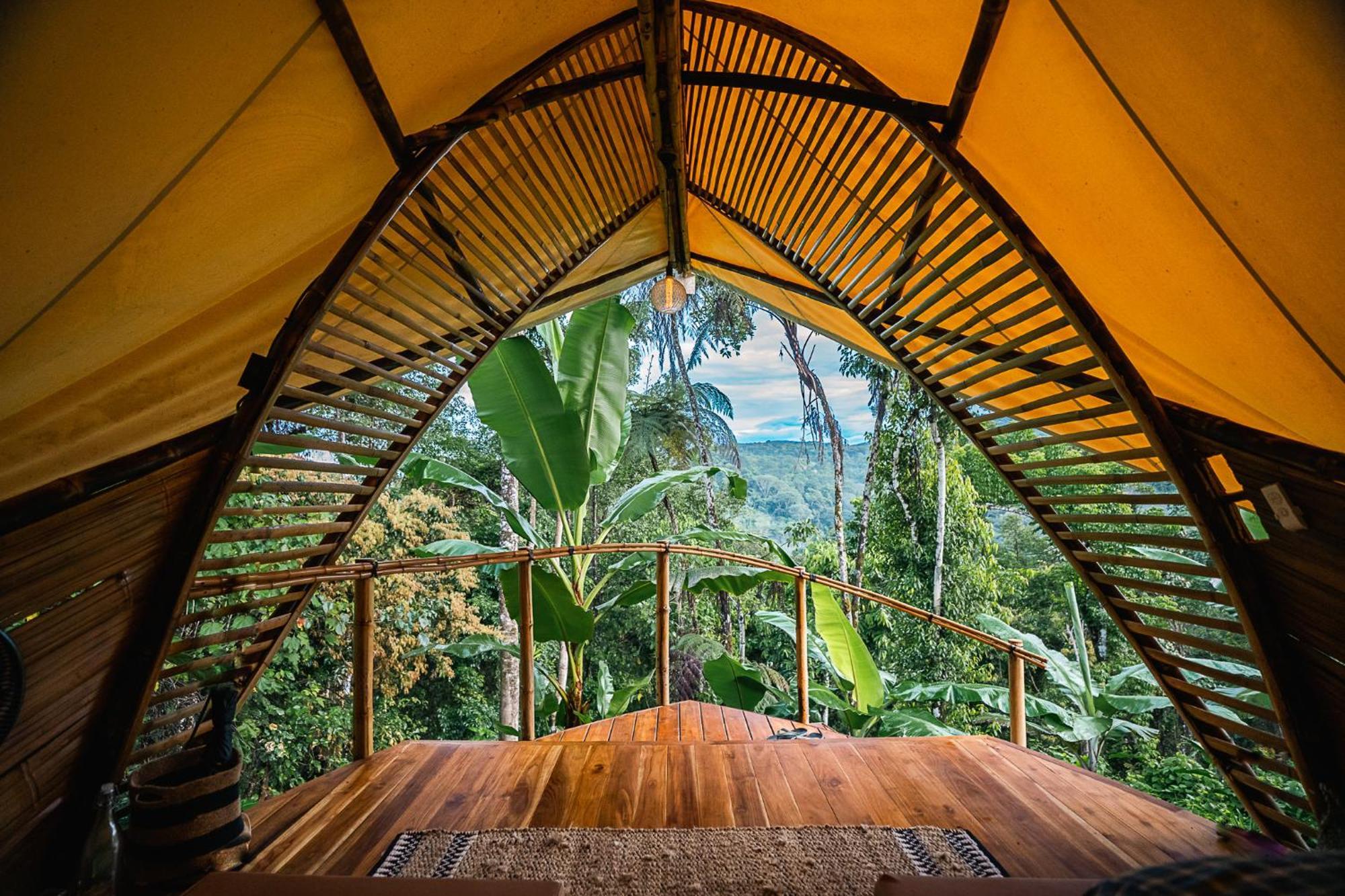 Jungle Gayborhood Hotel And Retreat Center San Luis  外观 照片