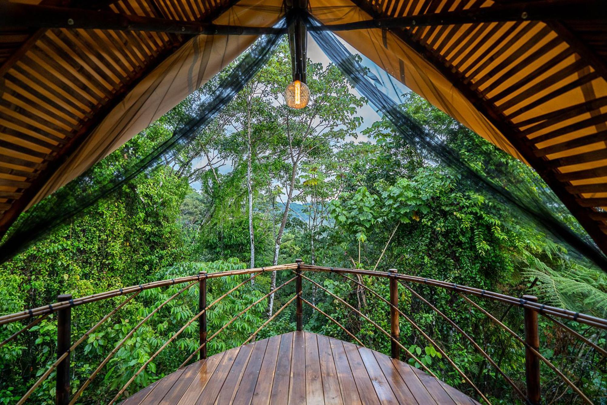 Jungle Gayborhood Hotel And Retreat Center San Luis  外观 照片
