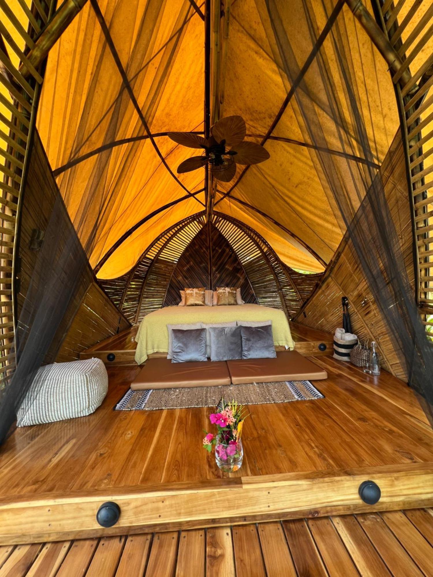 Jungle Gayborhood Hotel And Retreat Center San Luis  外观 照片